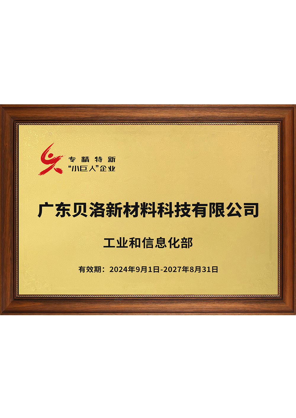 國家級專精特新&ldquo;小巨人&rdquo;企業(yè)